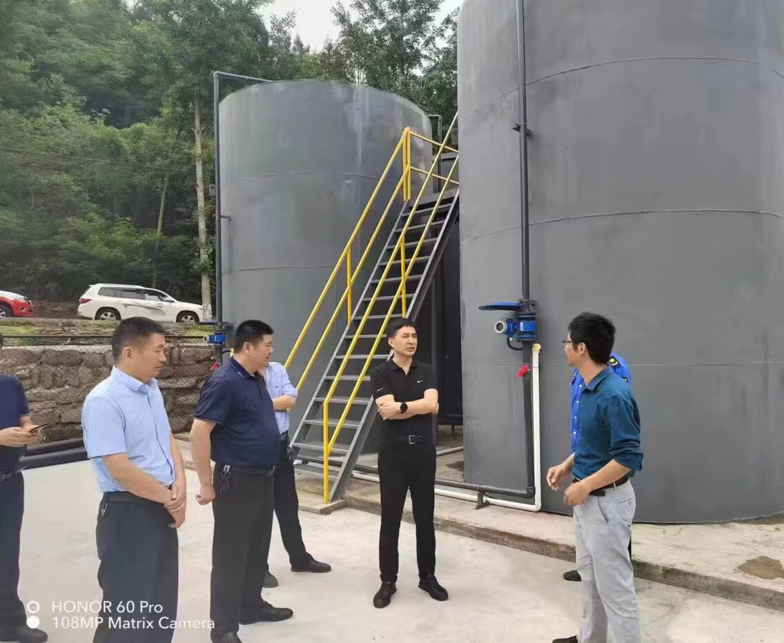 曹建奎实地调研龙王场镇污水处理厂现场