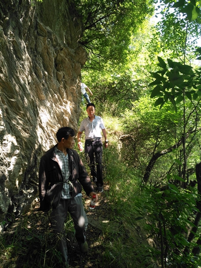 TIM图片20180607111526.jpg