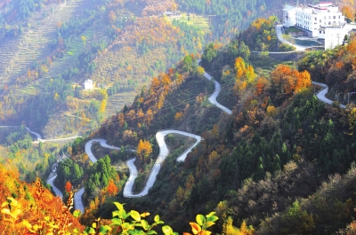 文柏陈新村公路。钟卫东摄.jpg 文柏陈新村公路。钟卫东摄.jpg