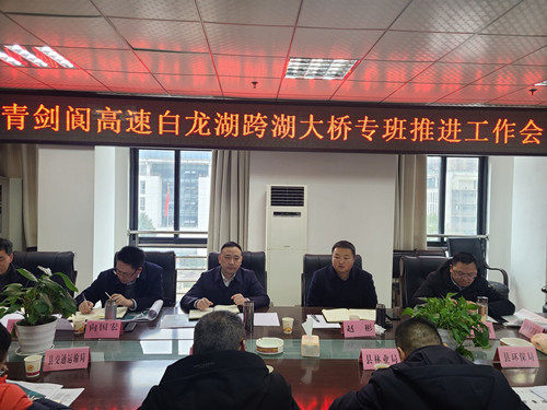 青剑阆高速白龙湖跨湖大桥专班推进工作会议召开